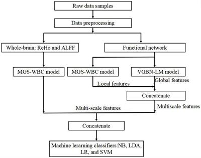 Diagnosis of Amnesic Mild Cognitive Impairment Using MGS-WBC and VGBN-LM Algorithms